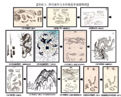 龍骨是哪裡|「生不可得見」的「有形之物」——中藥材龍骨的認知變遷與使用。